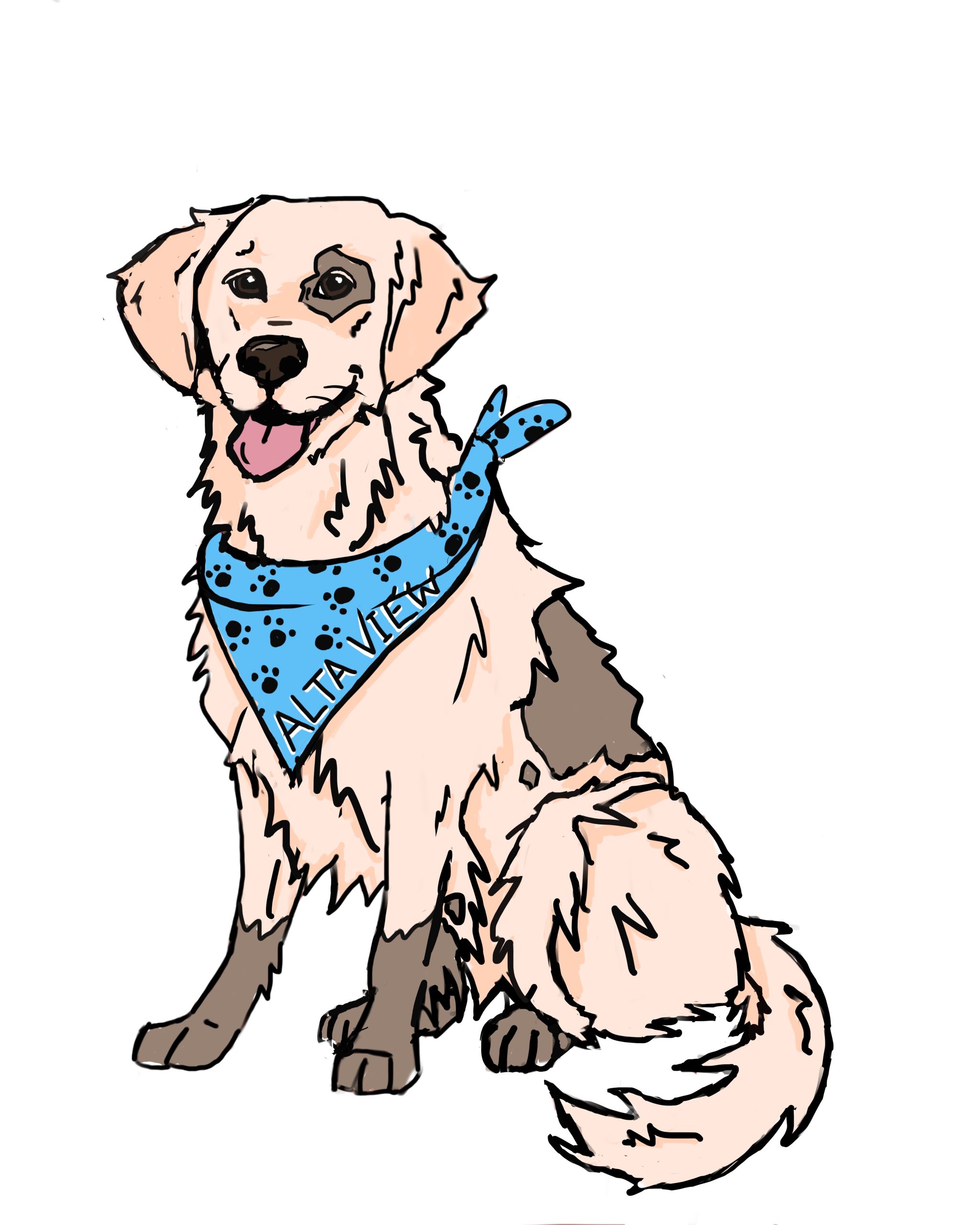 Veterinarian in Greenfield, WI